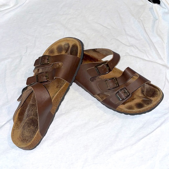 Betula - Picture 4 of 6